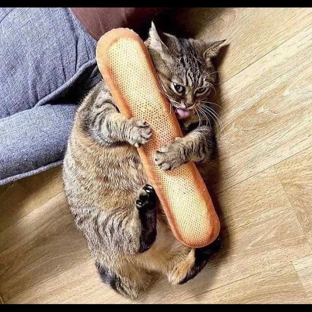 Meet your Posher, VB